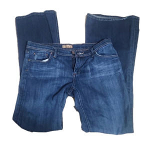 𝅺SEE Thru Soul Jeans Dino flare 30